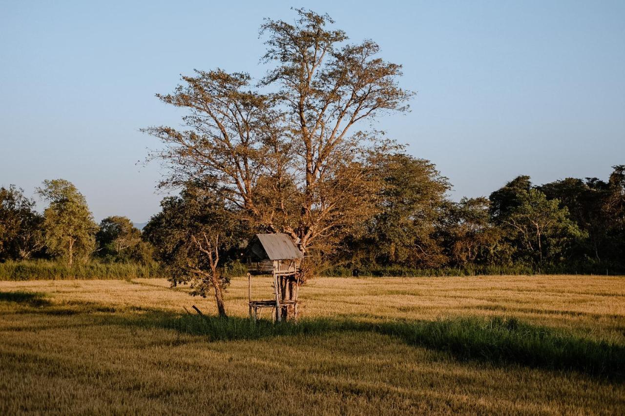 Roy'S Villa Sigiriya Exterior photo